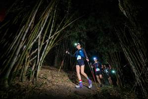 BIB: 
                            <button type="button" onclick="openModal(19394983)" class="btn btn-primary btn-sm float-right btn-popup" data-toggle="modal" data-target=".modal-high-quality">
                        <i class="fas fa-shopping-cart"></i> Add to Cart
                    </button>
                                            <button type="button" onclick="isThisMe(19394983, true)" class="btn btn-success btn-sm float-right btn-popup btn-isme hidden" data-toggle="tooltip" data-placement="bottom" title="นี่คือรูปของคุณใช่ไหม คลิกที่นี่เพื่อเอาเข้าอัลบั้ม">
                        <i class="fas fa-plus"></i> Add to album
                    </button>
                    <button type="button" onclick="isThisMe(19394983, false)" class="btn btn-warning btn-sm float-right btn-popup btn-isnotme hidden">
                        <i class="fas fa-ban"></i> Remove from album
                    </button>